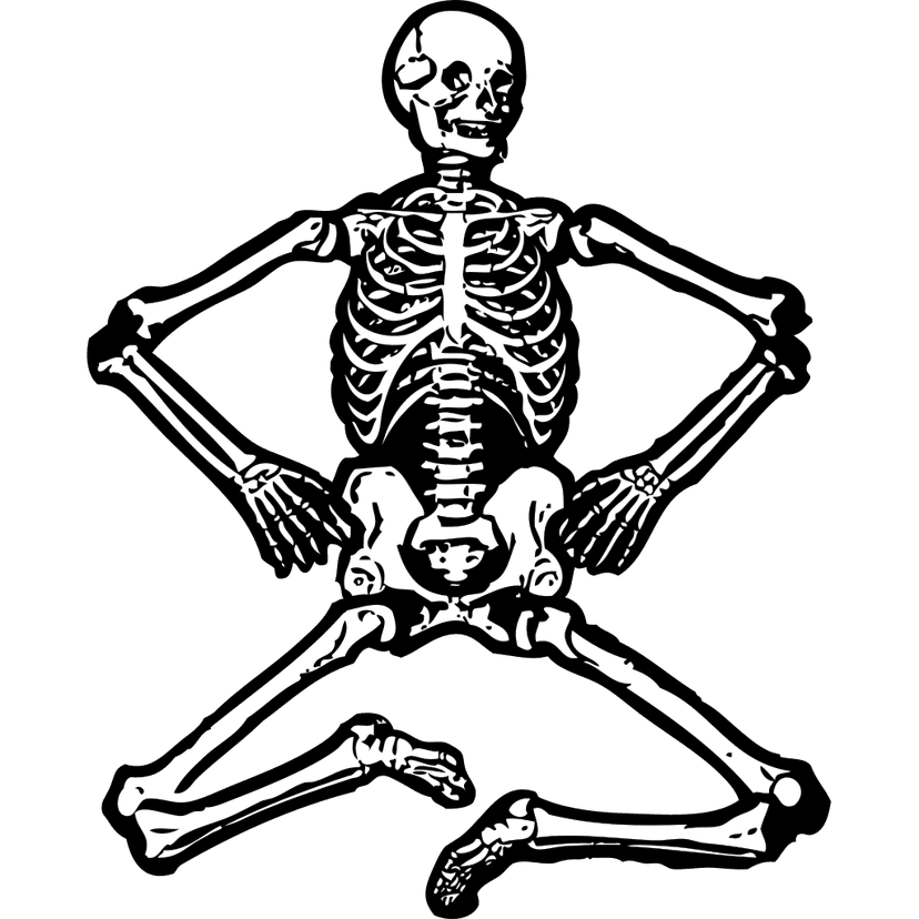 Human Skeleton Png Clipart clipart preview