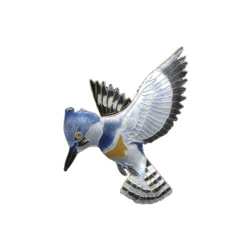 Kingfisher Image Transparent clipart preview