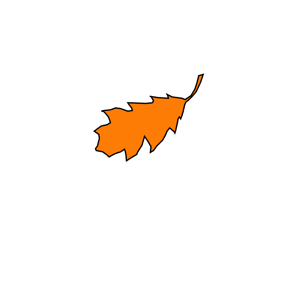 Leaf orange clipart preview