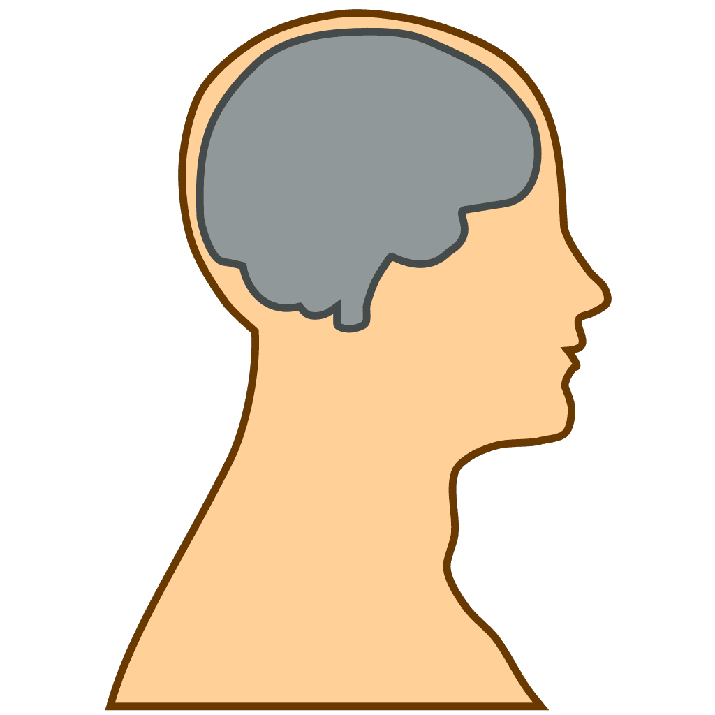 Medical Diagram Brain SVG clipart preview