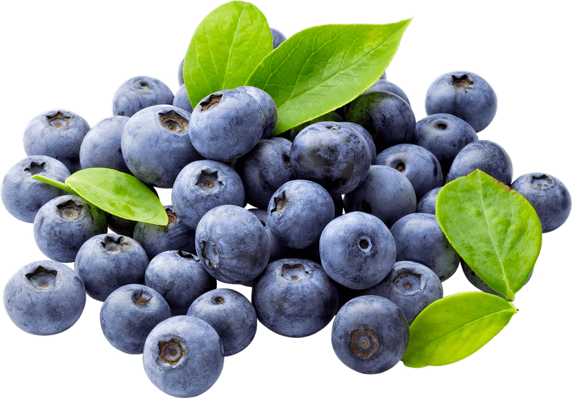 Natural Fruit Blueberry Download clipart preview