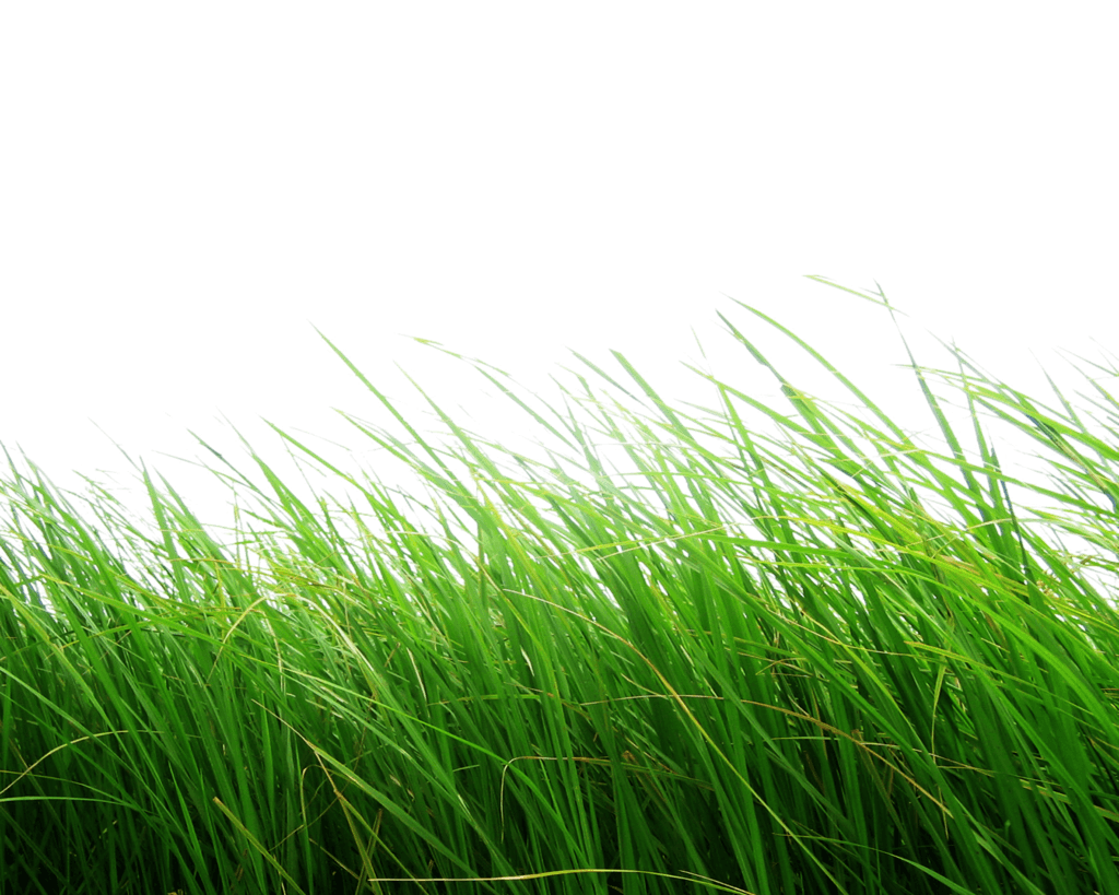 Nature Grass Background clipart preview