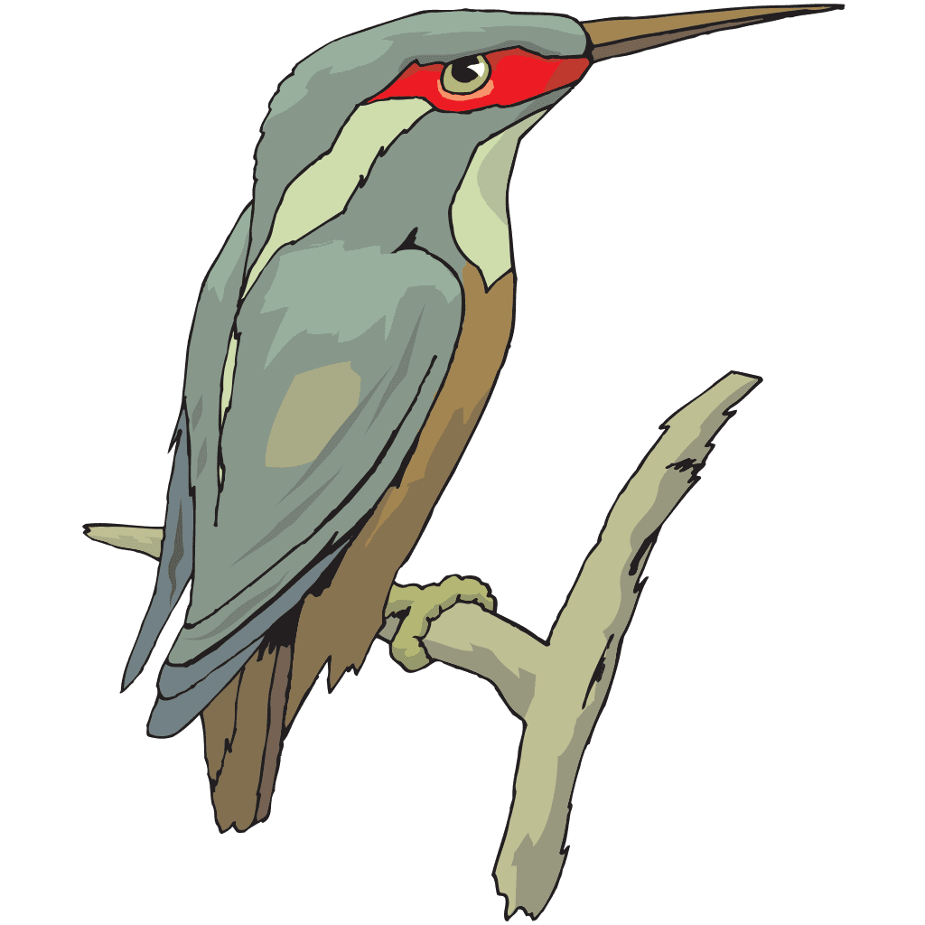 Perched Kingfisher Bird clipart preview