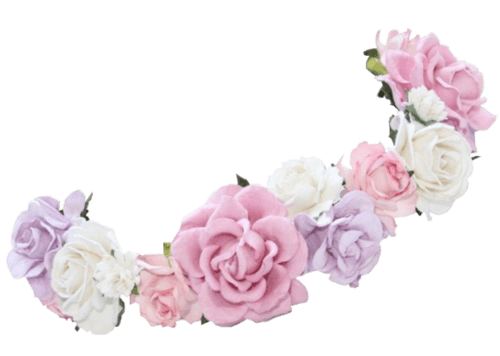 Pink Flower Crown PNG Photos clipart preview