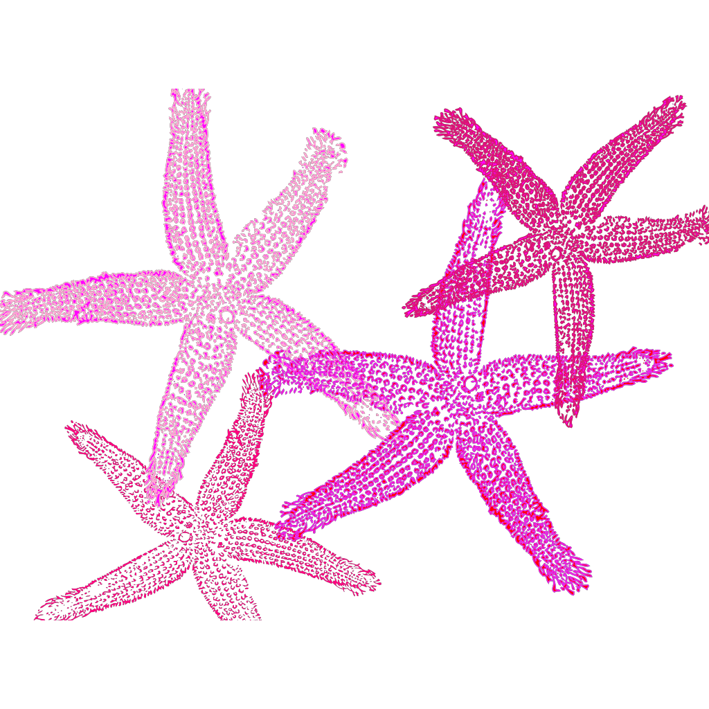 Pink Starfish Prints clipart preview