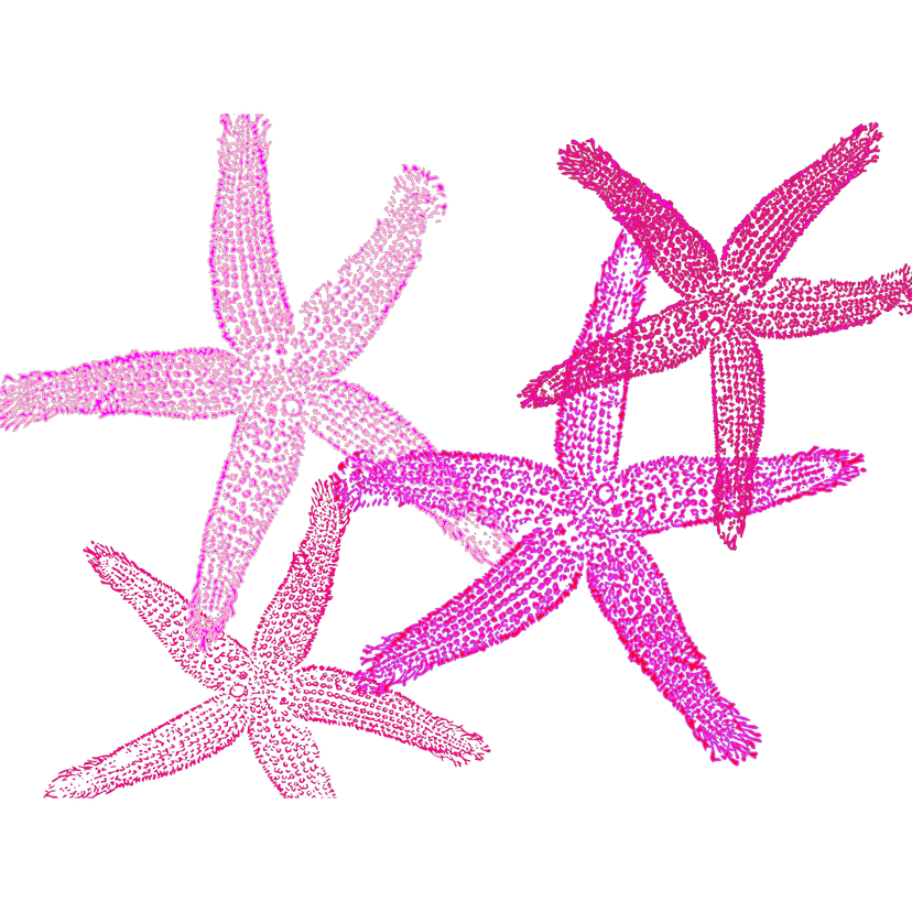 Pink Starfish Prints clipart preview