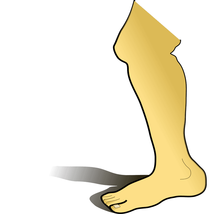 Right Human Foot Graphics  clipart preview