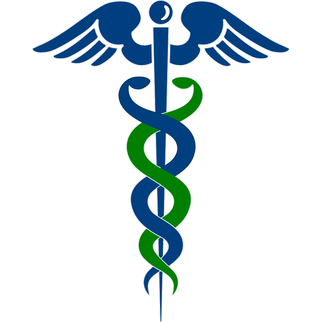 Snake Healthcare Logo  clipart preview