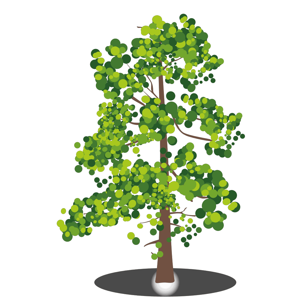 Tree Branches Transparent Png clipart preview