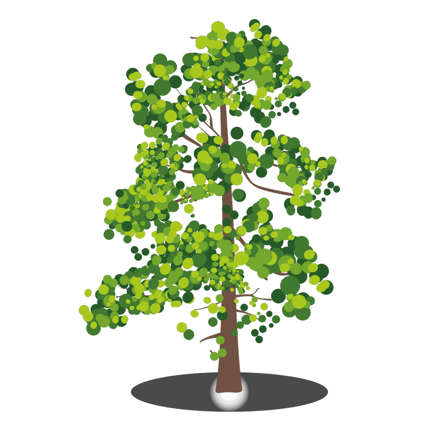 Tree Branches Transparent Png clipart preview