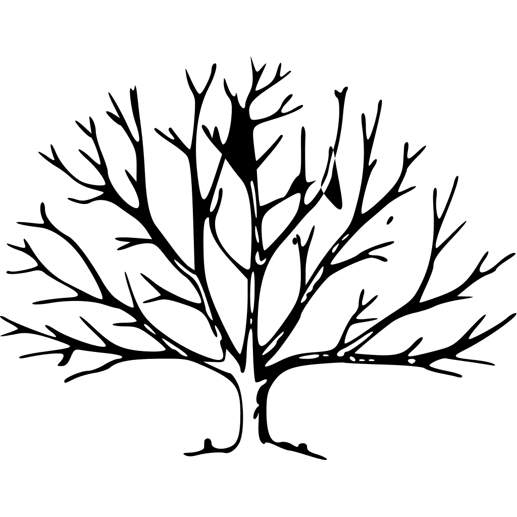 Tree Without Leaves Silhouette clipart preview