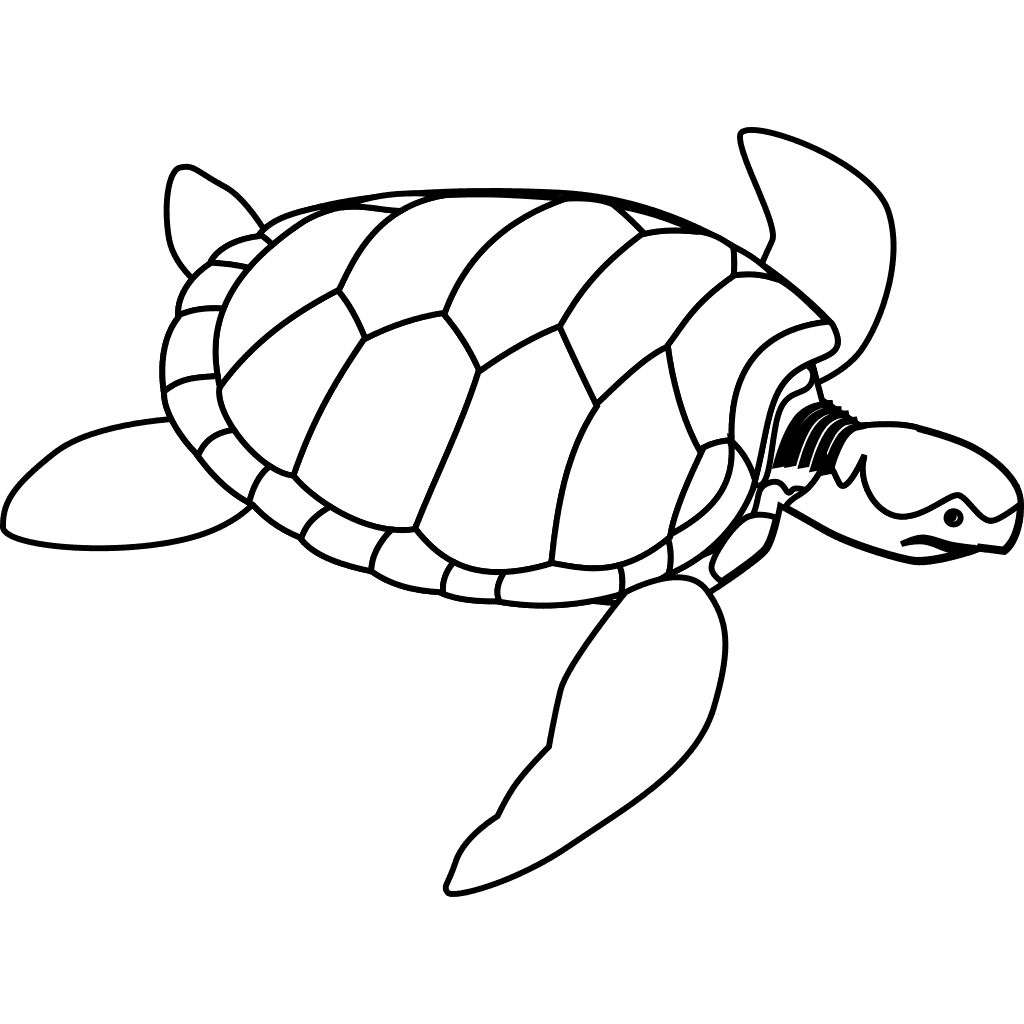 Turtle Drawing clipart preview