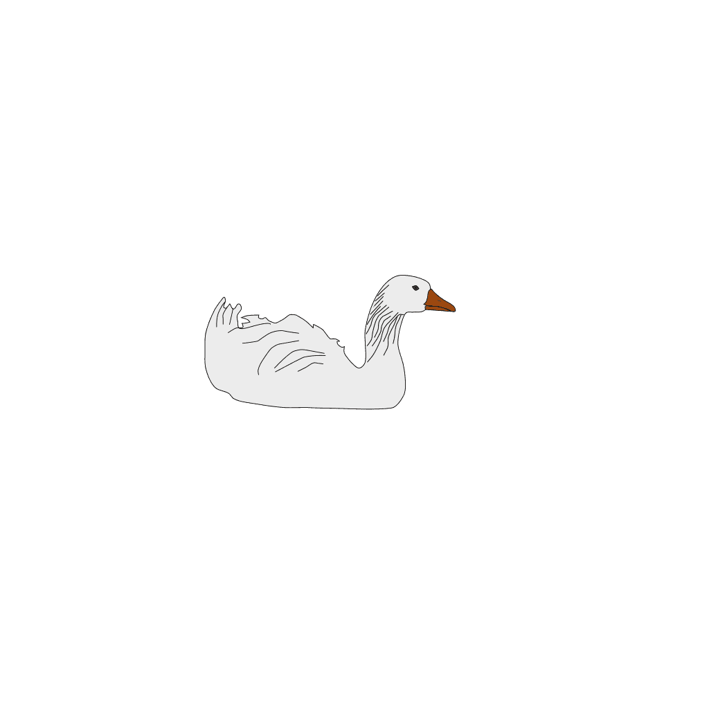 White Goose Bird Animal  clipart preview