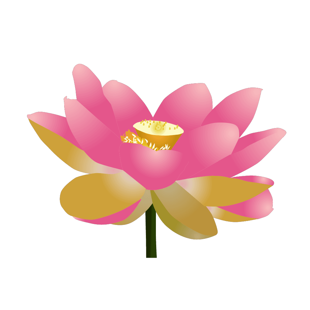 Yoga Lotus Pink Flower clipart preview