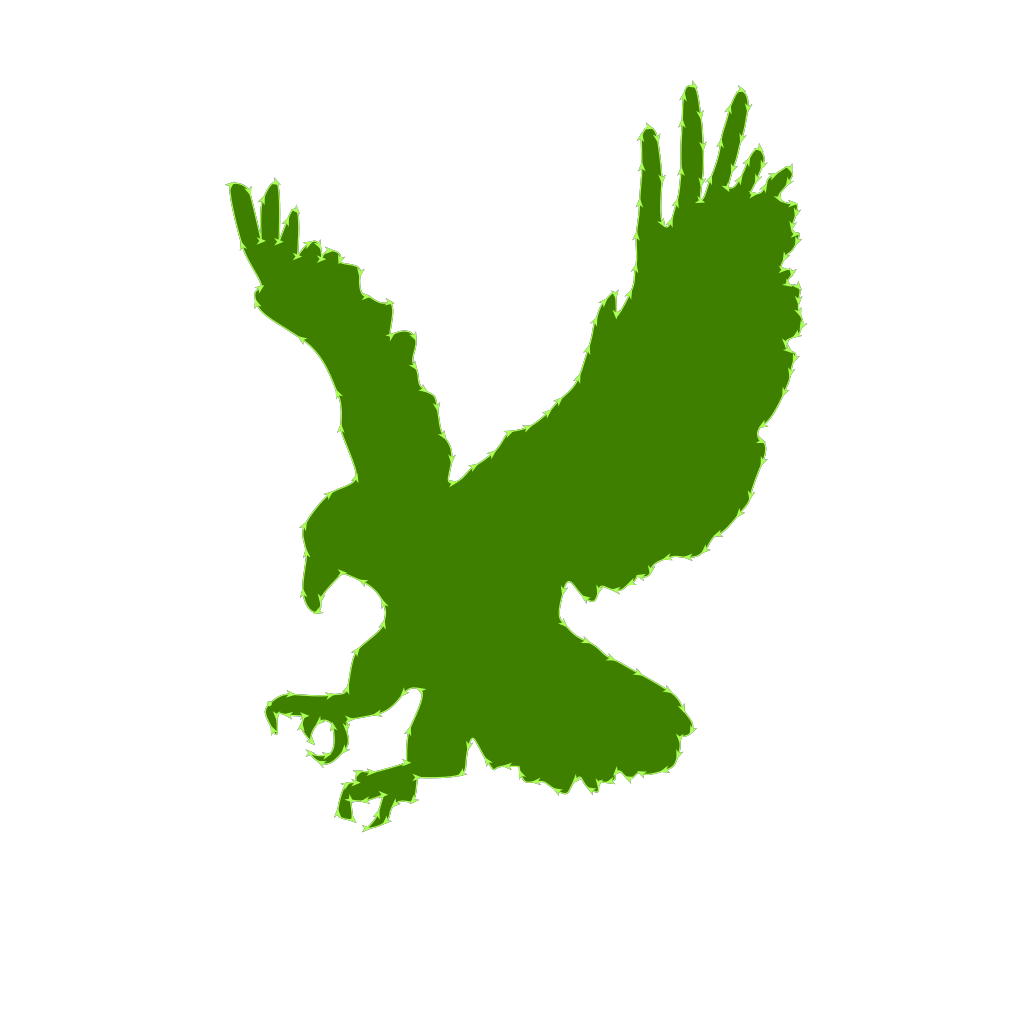 Green Hawk PNG, SVG Clip art for Web - Download Clip Art, PNG Icon Arts