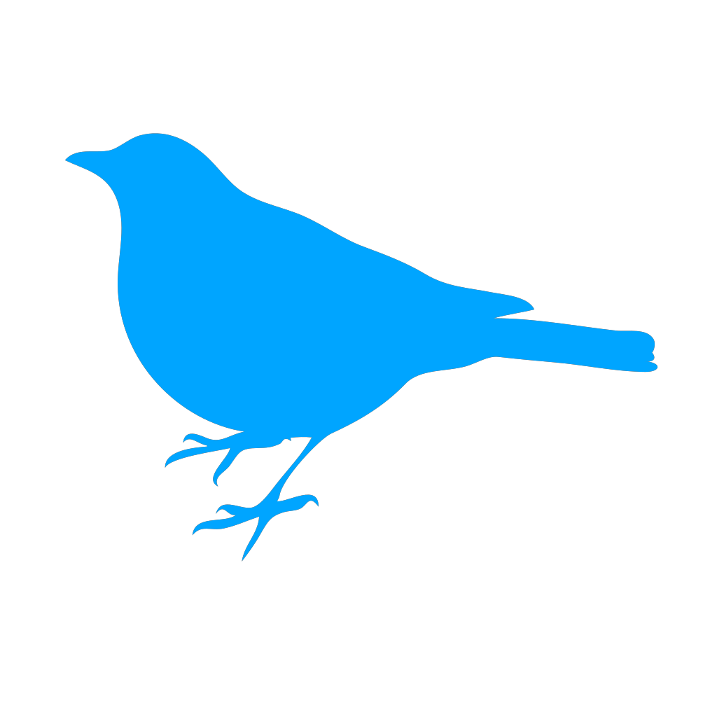 Bird PNG, SVG Clip art for Web - Download Clip Art, PNG Icon Arts