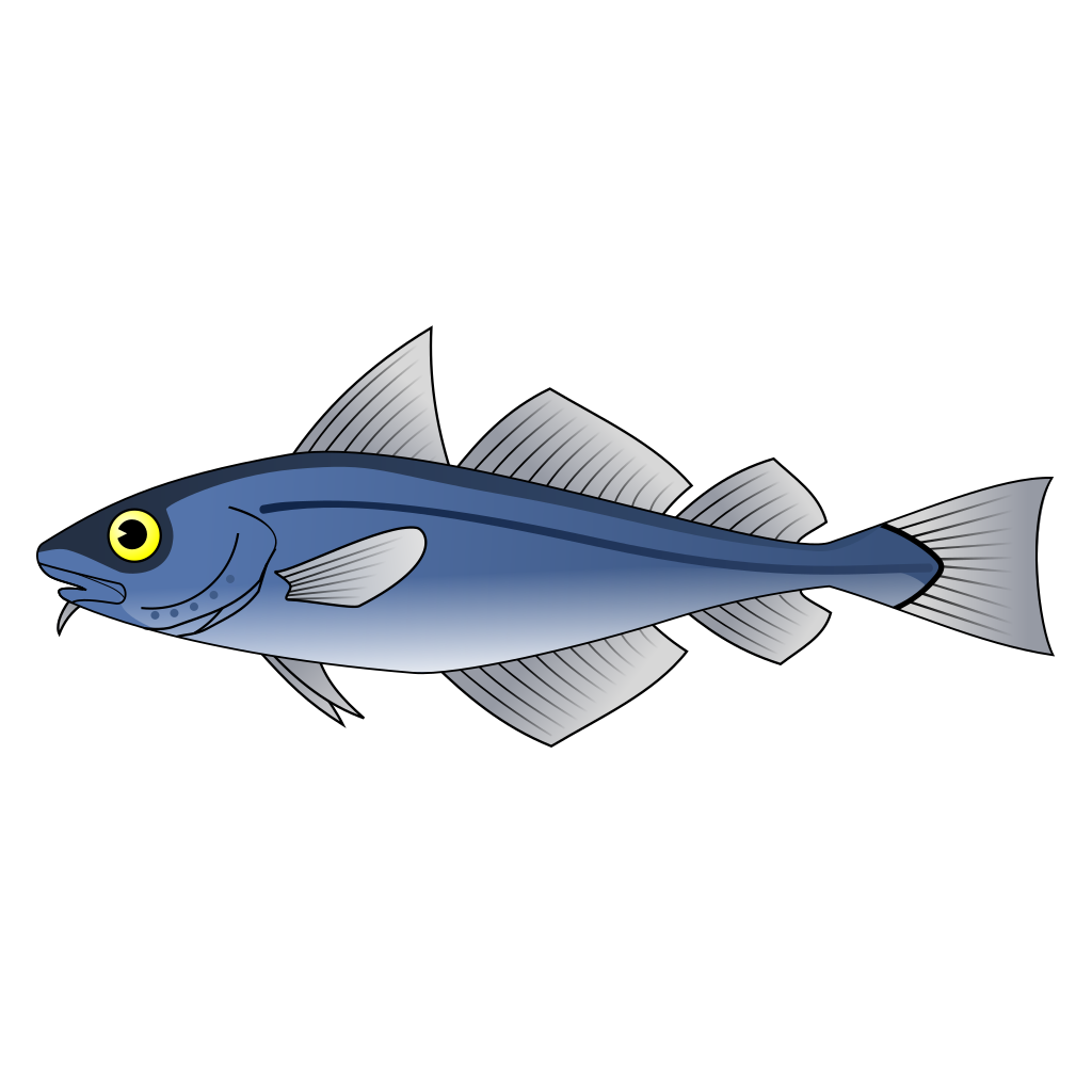 Съешь рыбу 3. Рыба треска на белом фоне. Рыба хек вектор. Треска вектор. Хек рисунок для детей.