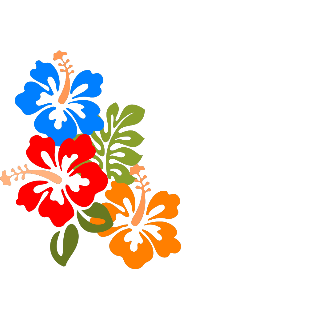 Hibiscus Flower PNG, SVG Clip art for Web - Download Clip Art, PNG Icon