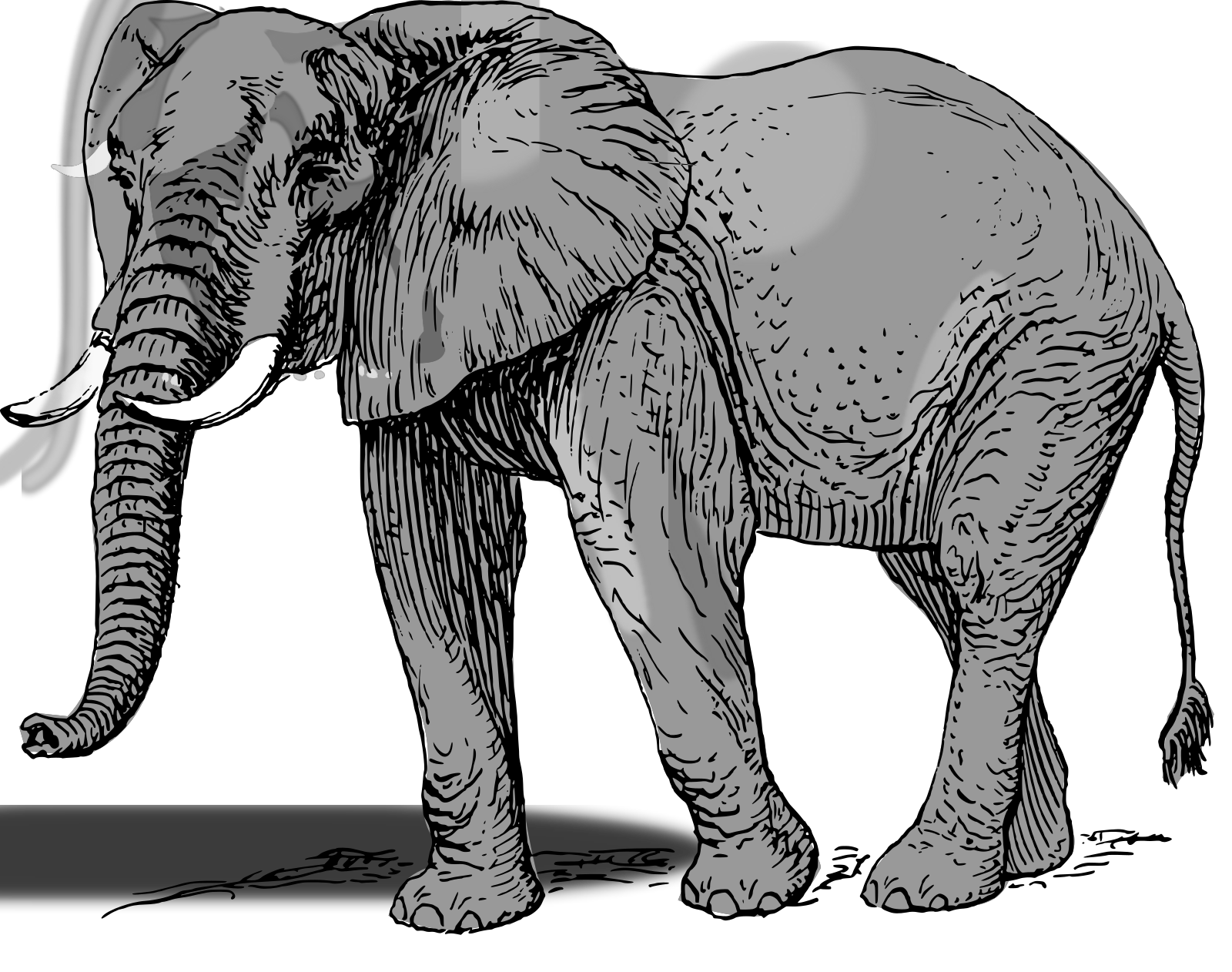 Mint Green Elephant PNG, SVG Clip art for Web - Download Clip Art, PNG ...