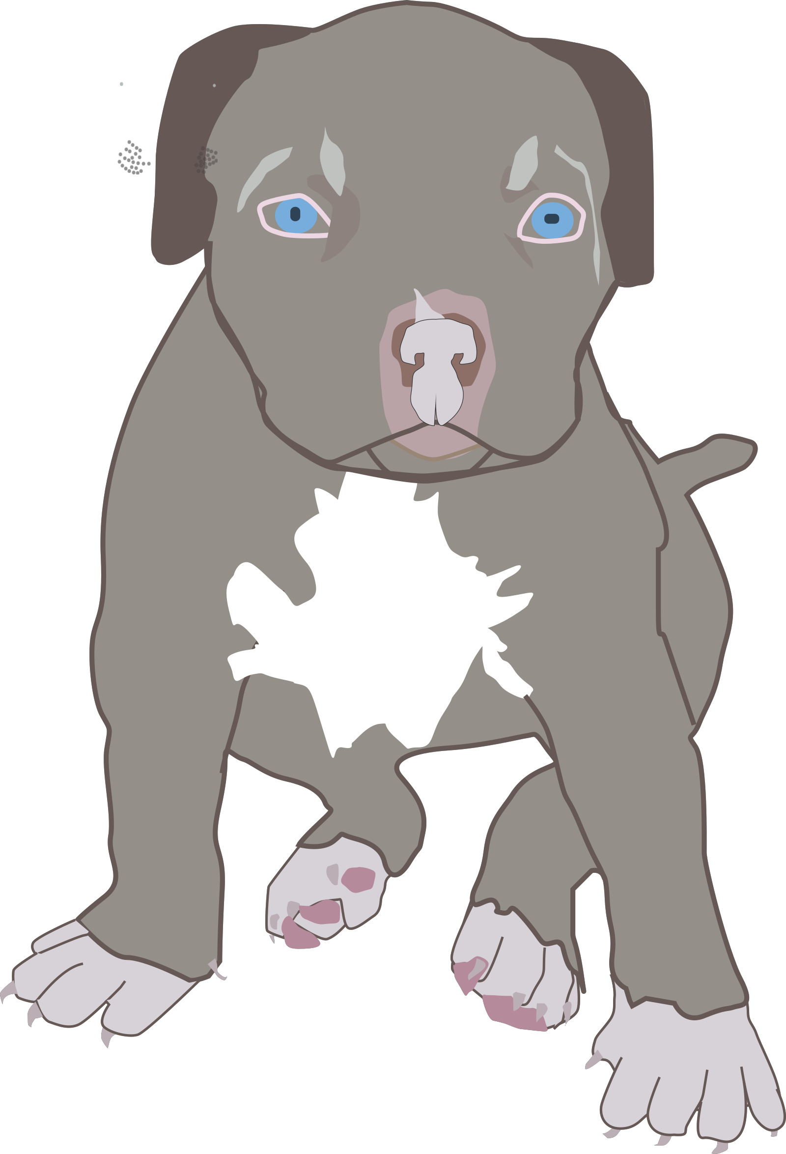 Free Free 124 Bull Terrier Svg Free SVG PNG EPS DXF File
