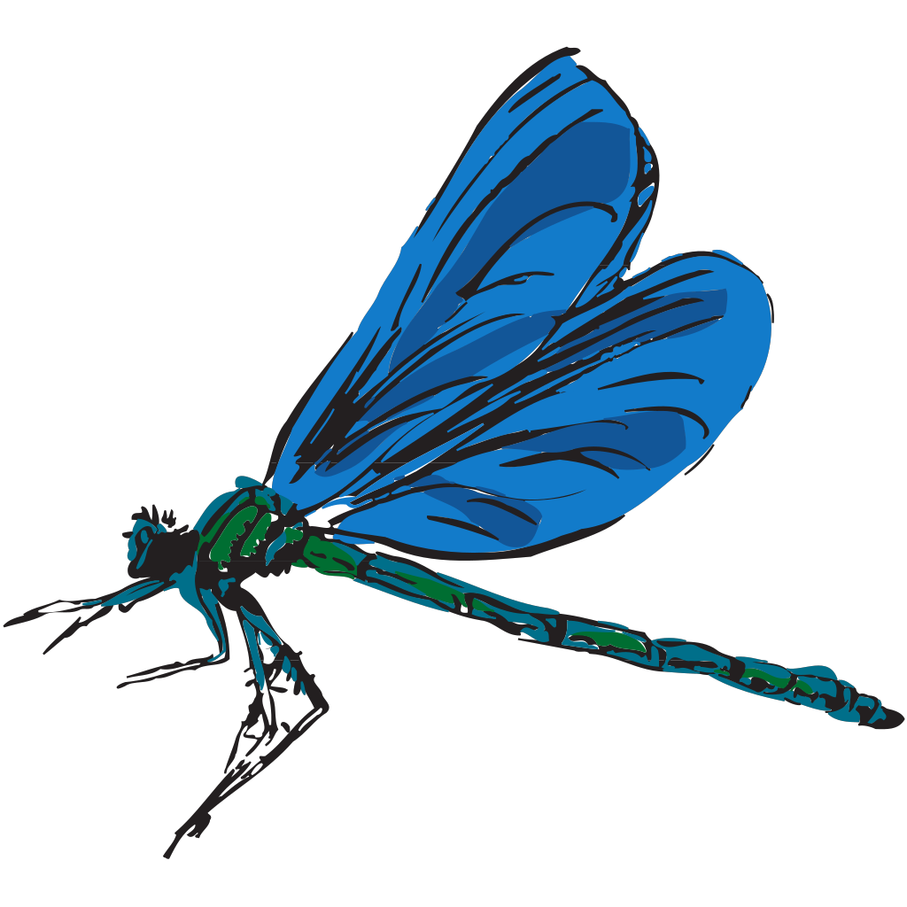 dragonfly-art-png-svg-clip-art-for-web-download-clip-art-png-icon-arts
