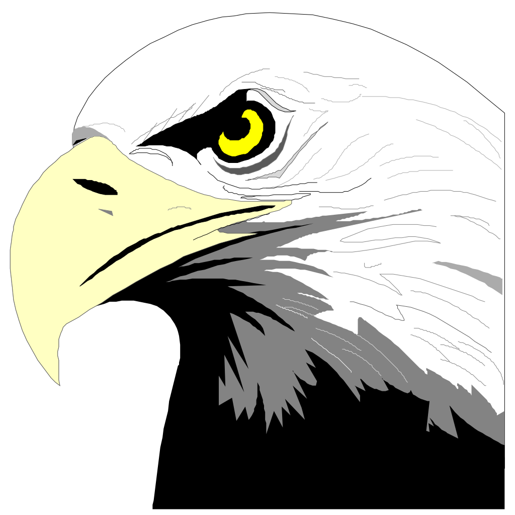 Bald Eagle Head SVG