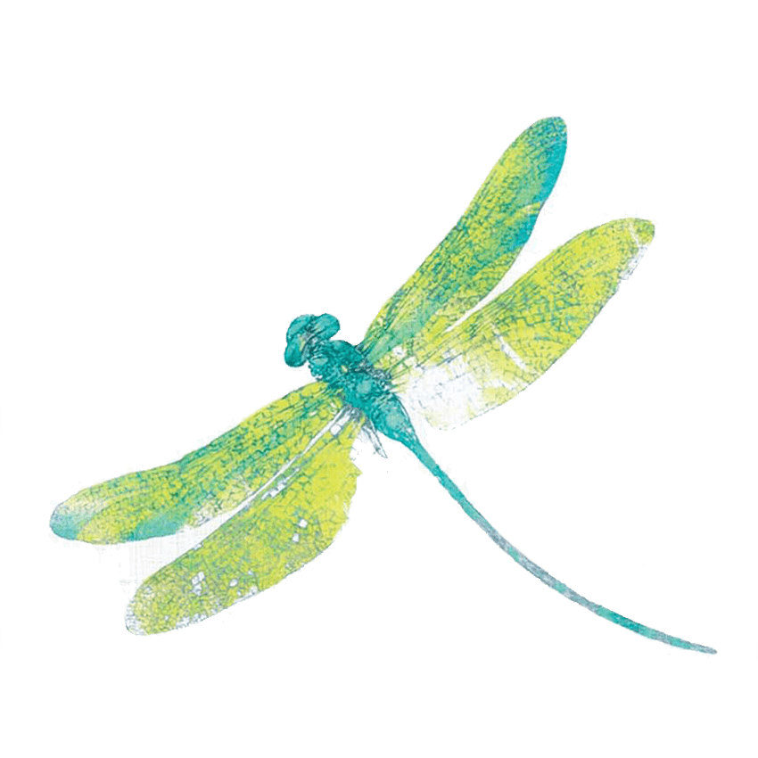 Download Dragonfly PNG Free Download PNG, SVG Clip art for Web ...