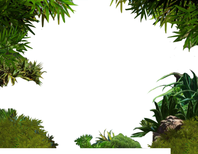 Jungle Border PNG Transparent Image PNG, SVG Clip art for Web