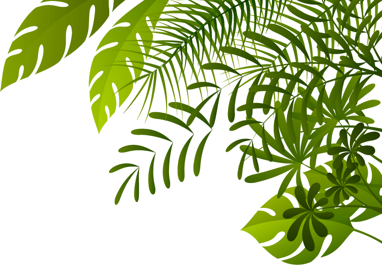 Jungle PNG Image PNG, SVG Clip art for Web - Download Clip Art, PNG