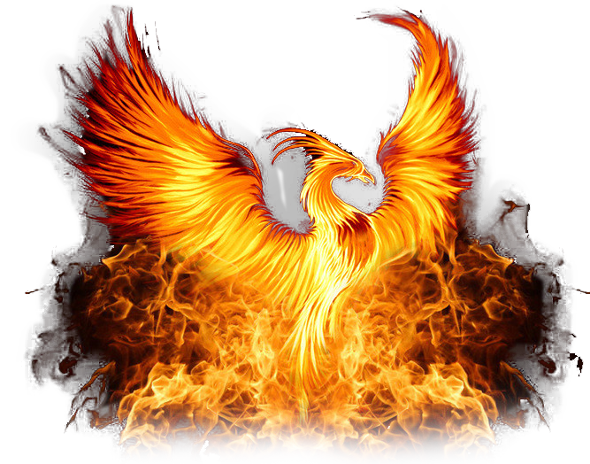 The Birth Of The Phoenix Free Transparent Png Downloa Vrogue Co