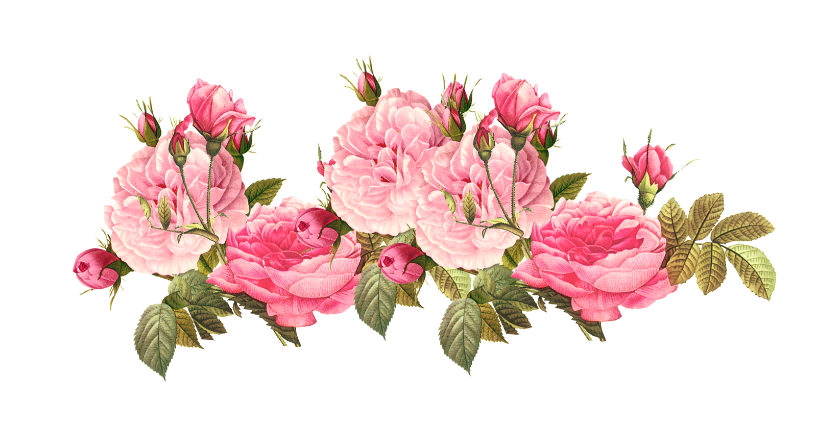 Romantic Pink Flower Border PNG Photos PNG, SVG Clip art for Web ...
