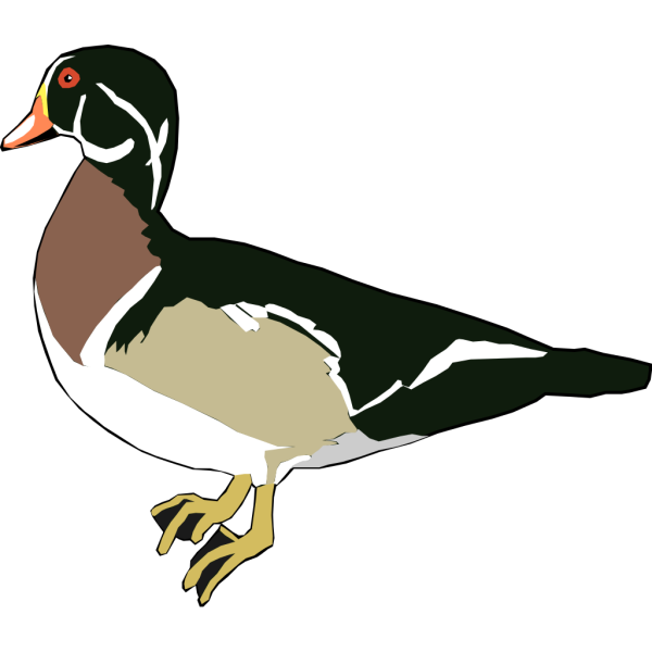 Green And White Duck PNG Clip art