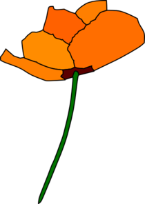 California Poppy PNG Clip art