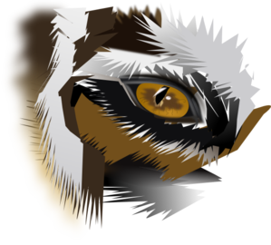Eye Of The Tiger PNG Clip art