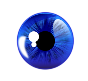 Blue Eye White Back PNG Clip art