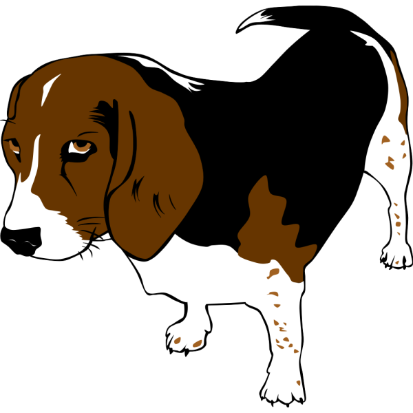 Copper The Beagle PNG images