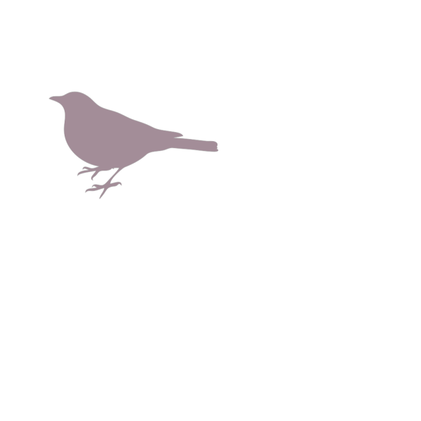 Pink Bird Profile PNG Clip art