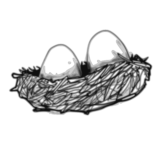 Bird Nest With Eggs PNG Clip art