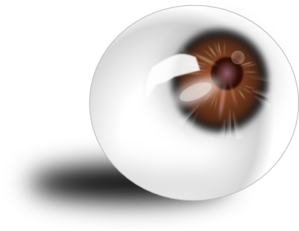 Eyeball Brown PNG Clip art