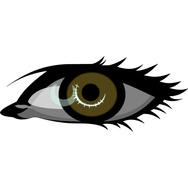 Brown Eye PNG Clip art