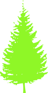 Pine Tree PNG Clip art