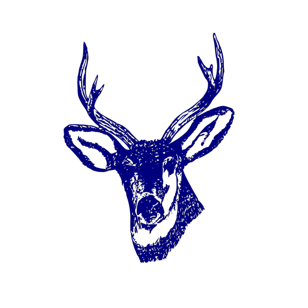 Deer Sea PNG Clip art