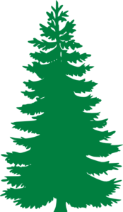 Pine Tree Wire Frame PNG Clip art
