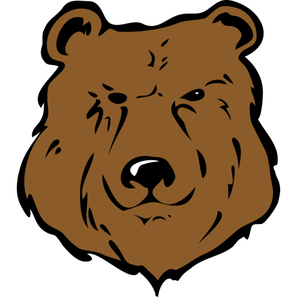 Brown Bear Head Drawing PNG Clip art