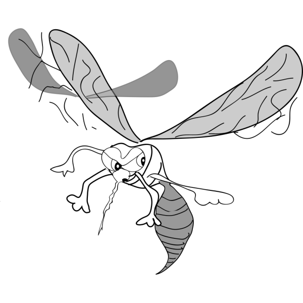 Cartoon Mosquito PNG Clip art