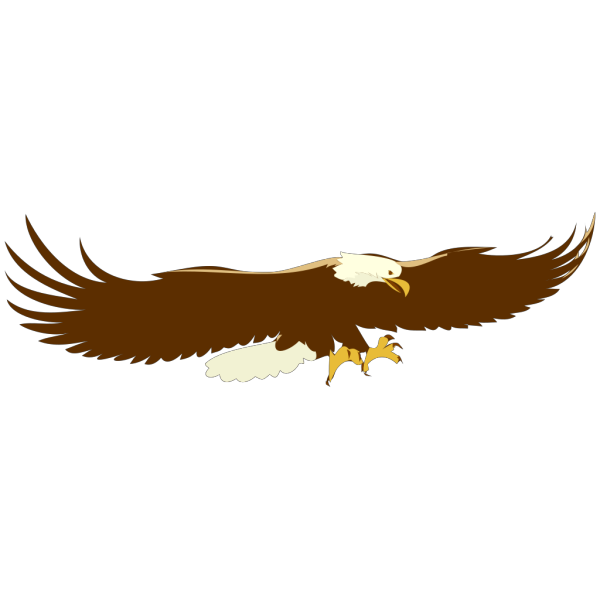 Soaring Eagle PNG, SVG Clip art for Web - Download Clip Art, PNG Icon Arts