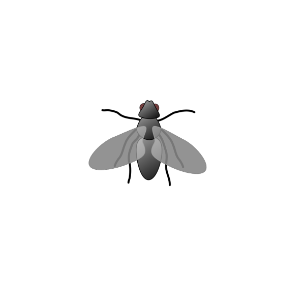 Fly3 PNG Clip art