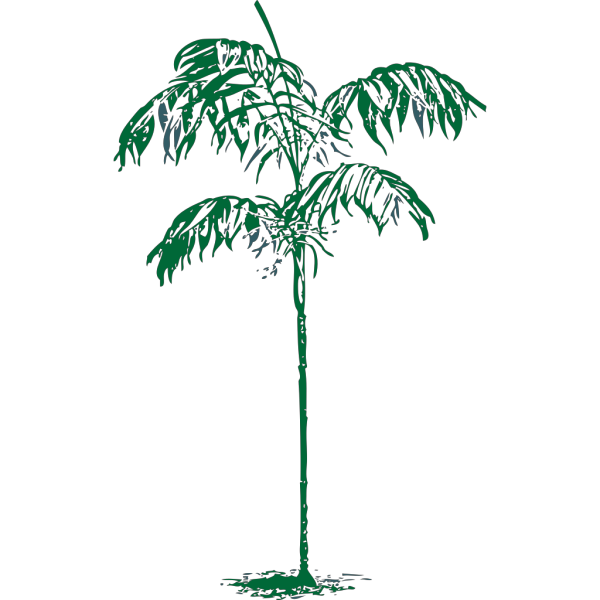 Blue Palm Tree Beach W/sun PNG Clip art