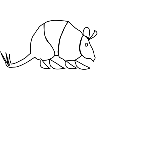  Armadillo PNG Clip art