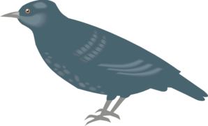 Starling Bw PNG Clip art